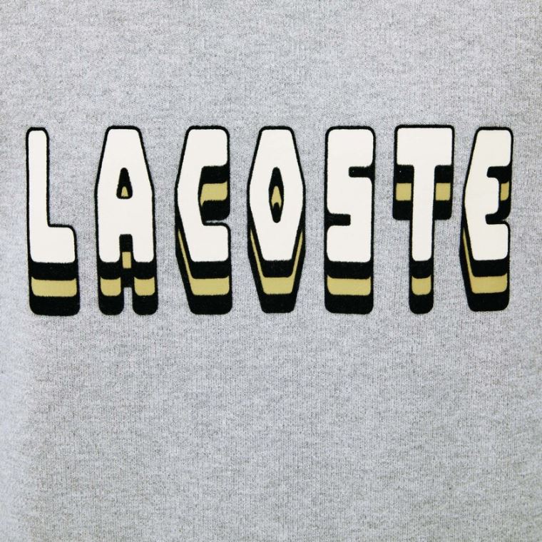 Lacoste 3D-Lettering Crewneck Bavlněné Blend Svetrové Šedé | DOfnBERA