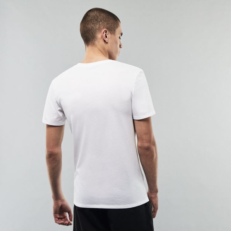 Lacoste 3 Pack of Plain T-Shirts Bílé | JOFka7F6