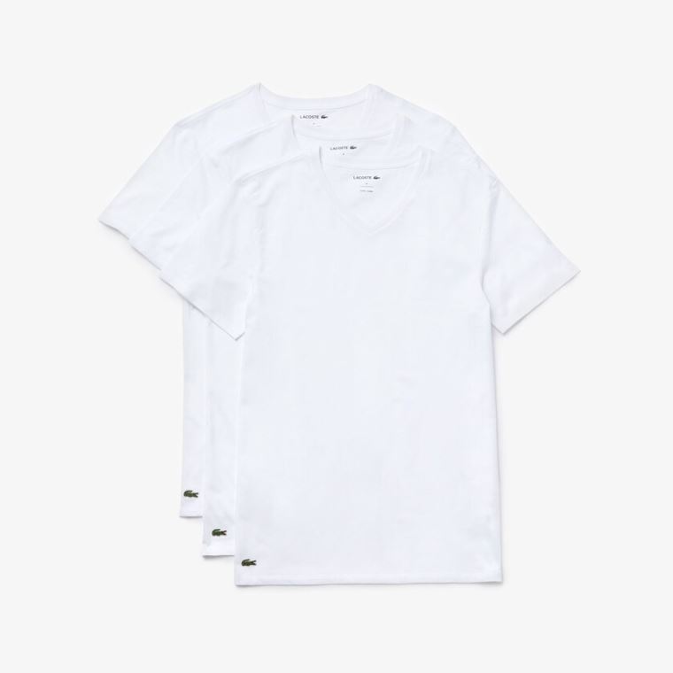 Lacoste 3 Pack of Plain T-Shirts Bílé | JOFka7F6