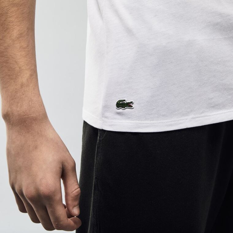 Lacoste 3 Pack of Plain T-Shirts Bílé | JOFka7F6