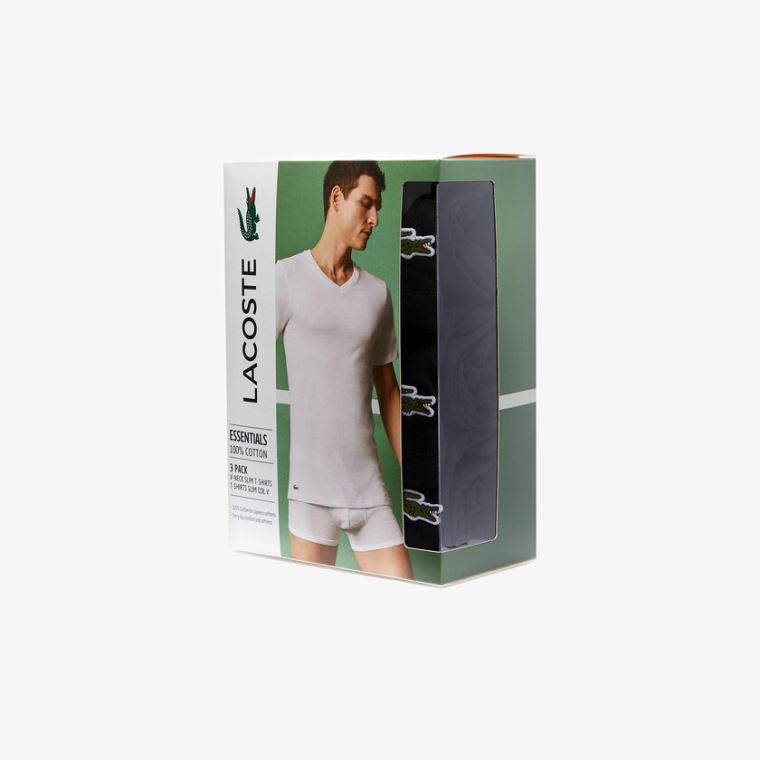 Lacoste 3 Pack of Plain T-Shirts Černé | oq4TZiVY