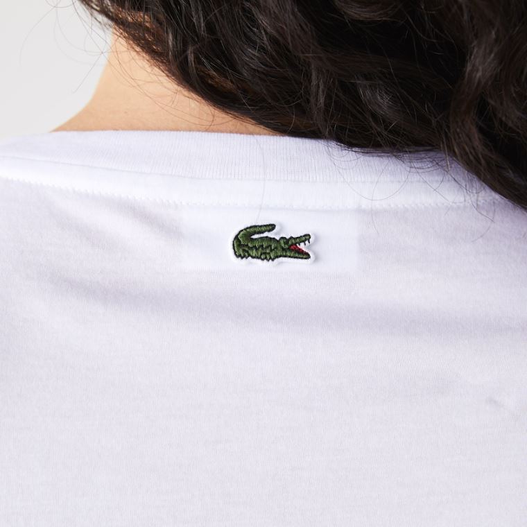 Lacoste Art-Print Bavlněné T-Shirt Bílé | dD5BqhKH