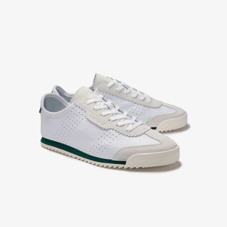 Lacoste Ascenta Læder and Semišové Sneakers Bílé | YZSD1jot