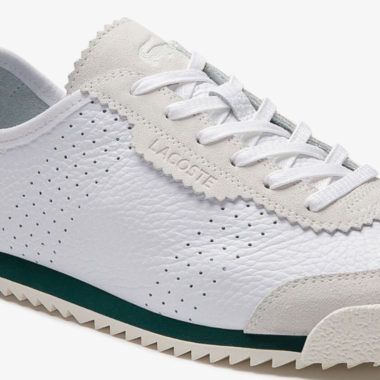 Lacoste Ascenta Læder and Semišové Sneakers Bílé | YZSD1jot