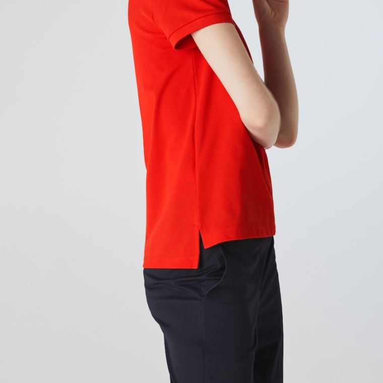 Lacoste Classic Fit Soft Bavlněné Petit Piqué Polo Červené | gICzKbGm