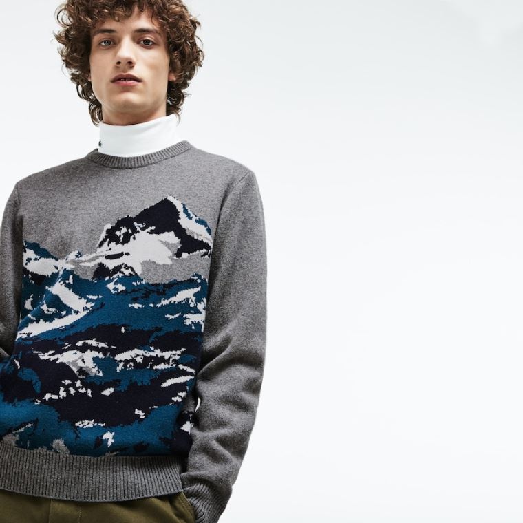 Lacoste Crew Neck Alpine Print Wool And Bavlněné Jacquard Svetrové Šedé Zelene Blankyt Bílé | IylXNy60