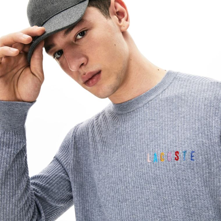 Lacoste Crewneck Embroidered Bavlněné Blend Svetrové Šedé | tTgtJIHJ