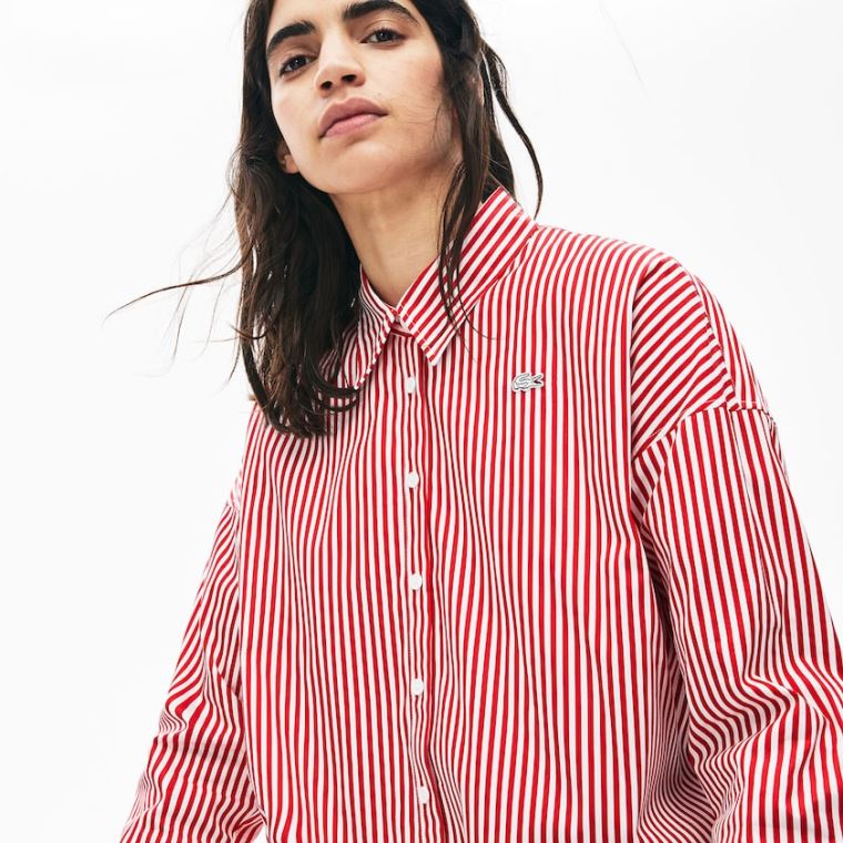 Lacoste LIVE Boxy-Fit Striped Bavlněné Shirt Bílé Červené | Y64oKhji