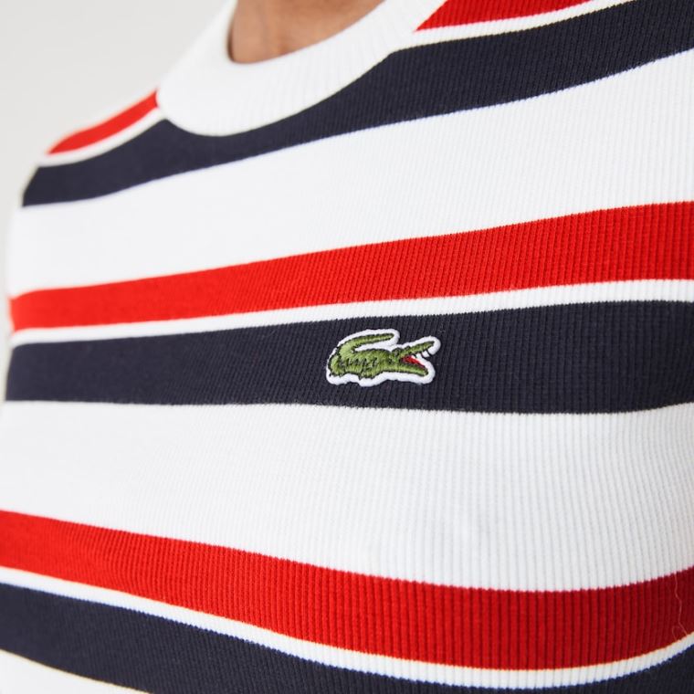 Lacoste LIVE Striped Bavlněné Ribbed T-Shirt Šaty Bílé Tmavě Blankyt Blankyt Červené | Y5czgkqI