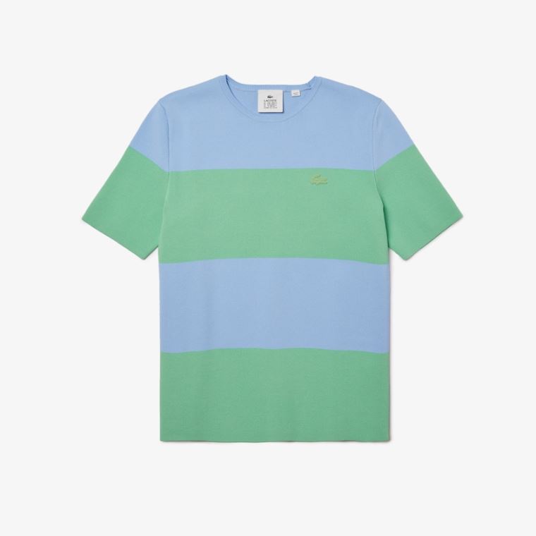 Lacoste LIVE Striped Knit Svetrové Blankyt Zelene | zpPZMl9K