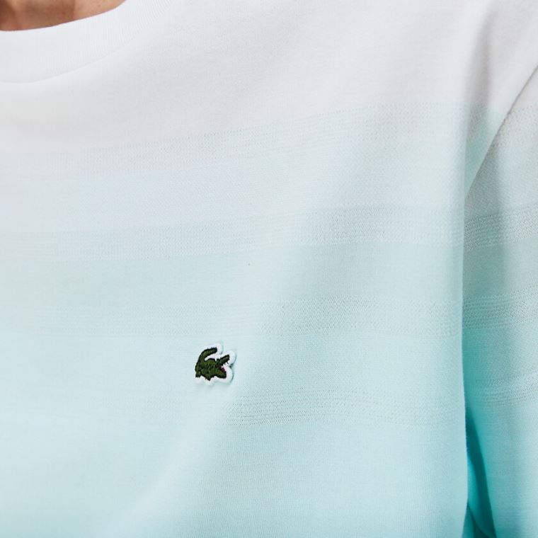 Lacoste Made in France Crew Neck Organic Bavlněné T-shirt Tyrkysové Světle Zelene Bílé | IigZDXGK