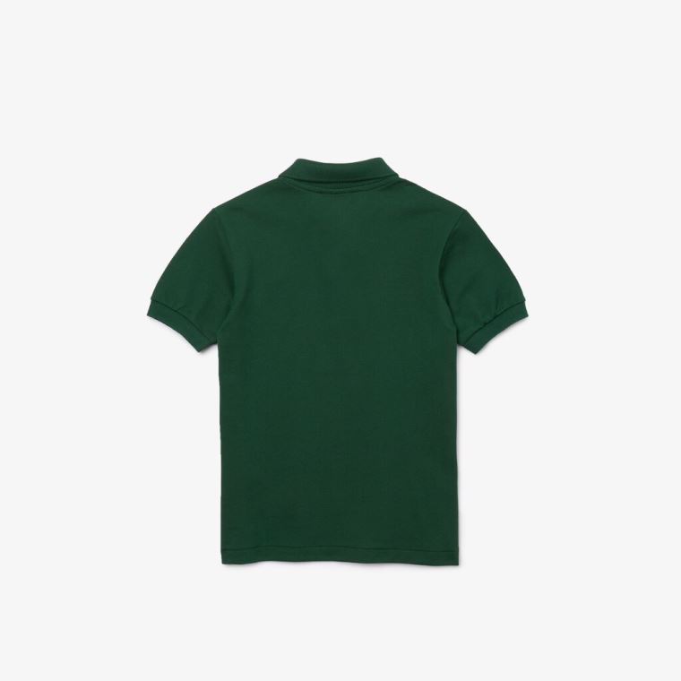 Lacoste Petit Piqué Polo Zelene | QSbHvRFa