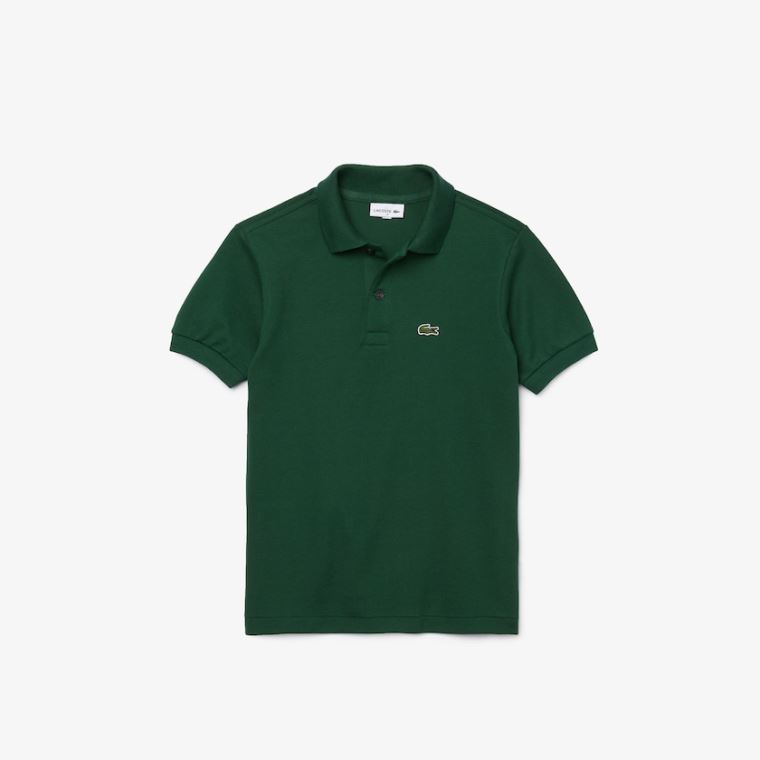 Lacoste Petit Piqué Polo Zelene | QSbHvRFa