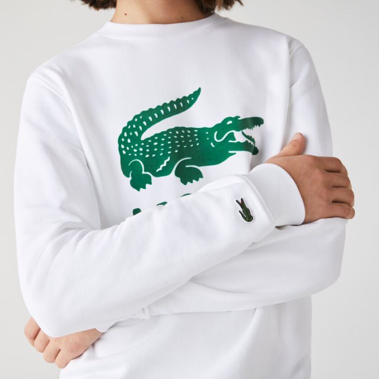 Lacoste Printed Logo Fleece Crew Neck Sweatshirt Bílé | NcAu14li