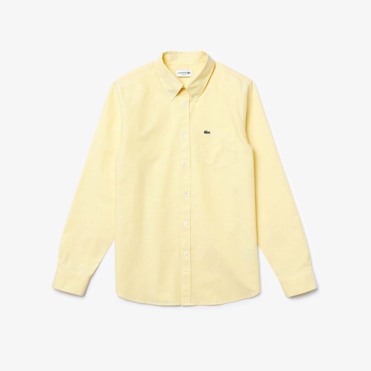 Lacoste Regular Fit Oxford Bavlněné Shirt Žluté | VNNoBKw3