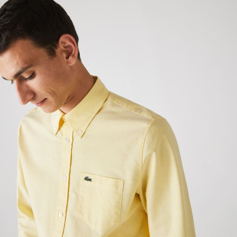 Lacoste Regular Fit Oxford Bavlněné Shirt Žluté | VNNoBKw3