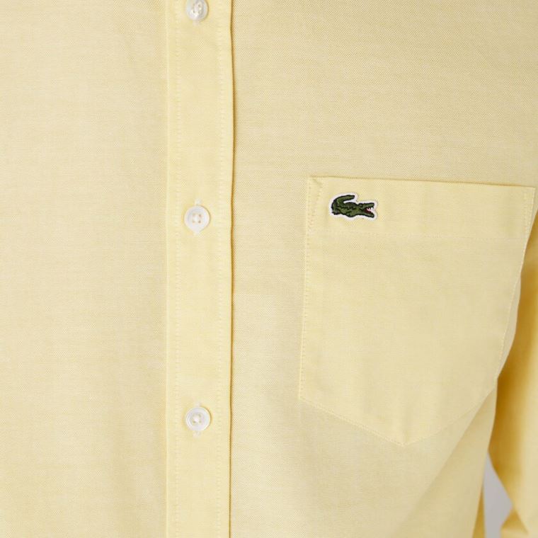 Lacoste Regular Fit Oxford Bavlněné Shirt Žluté | VNNoBKw3