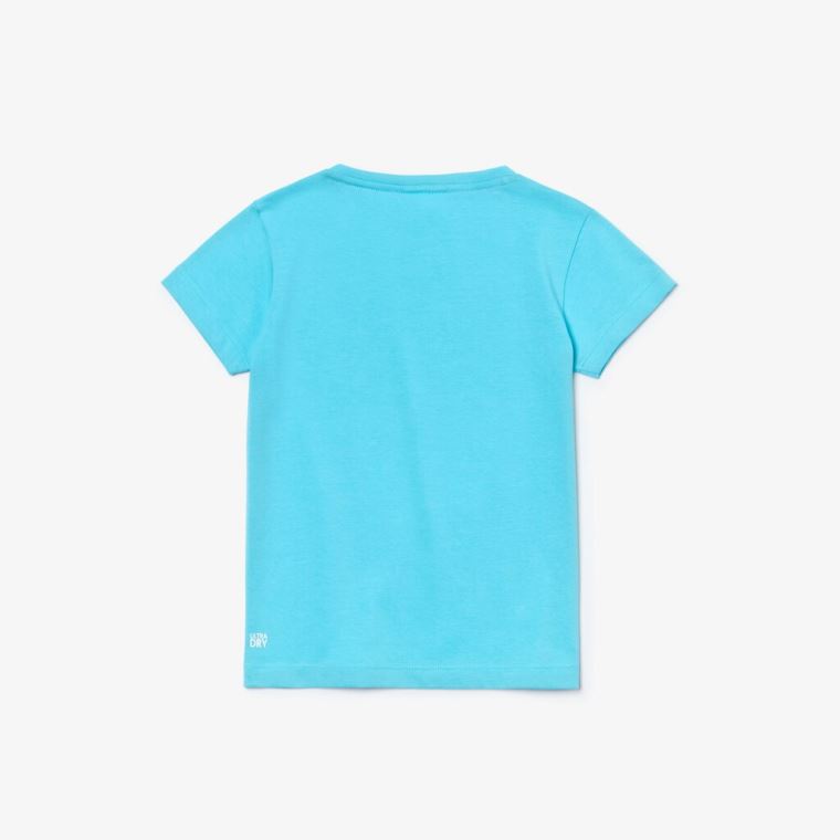 Lacoste SPORT Roland Garros Logo T-Shirt Tyrkysové Bílé Zelene | 6M9ddTvL