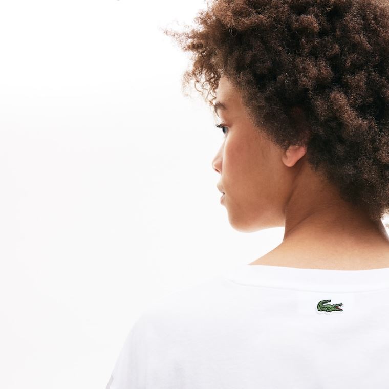 Lacoste Signature Printed Crew Neck Bavlněné T-shirt Bílé Tmavě Blankyt Blankyt | Q1gxqjKR