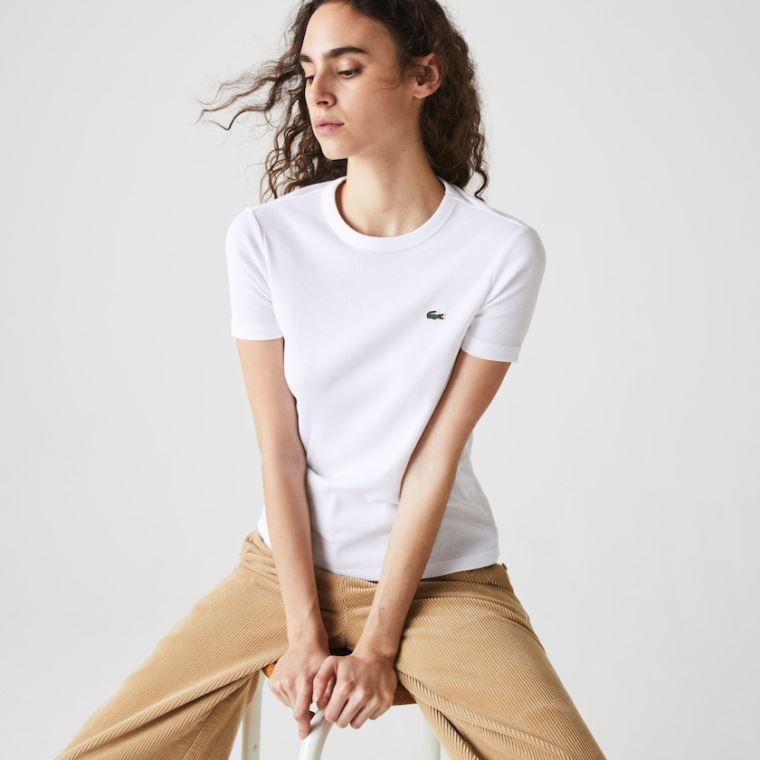 Lacoste Soft Bavlněné Crew Neck T-shirt Bílé | rsZefm5i