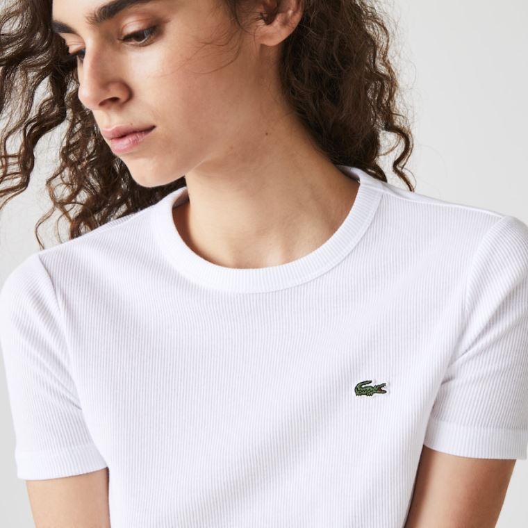 Lacoste Soft Bavlněné Crew Neck T-shirt Bílé | rsZefm5i