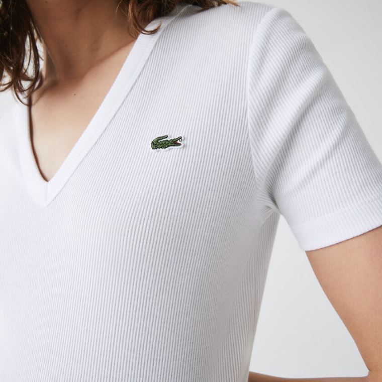 Lacoste Soft Bavlněné V-Neck T-shirt Bílé | 9Ye9ghlZ