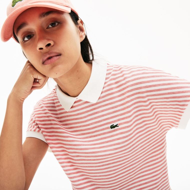 Lacoste Striped Polo Červené Bílé | lfJzlAJQ