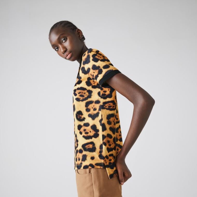 Lacoste x National Geographic Animal Print Piqué Polo Shirt Bílé | QgnlCPyr