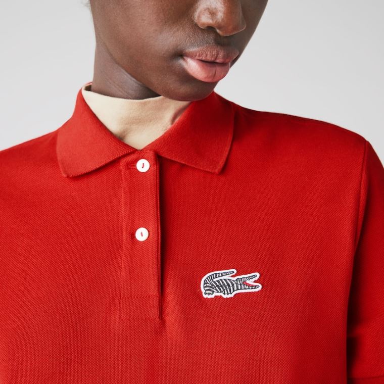 Lacoste x National Geographic Bavlněné Piqué Polo Shirt Šaty Červené Bílé | A6HVWHdU