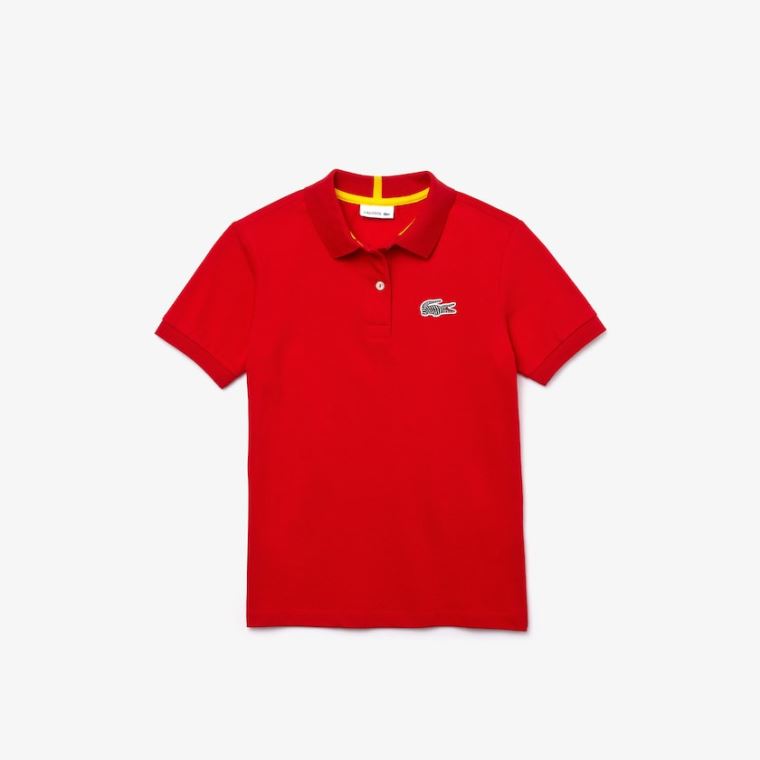 Lacoste x National Geographic Bavlněné Piqué Polo Shirt Červené Bílé | HmcueQSu