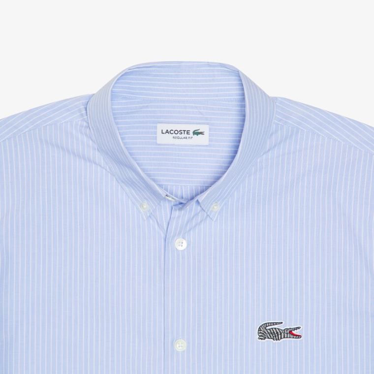 Lacoste x National Geographic Regular Fit Striped Bavlněné Shirt Blankyt Bílé | 45QOE5lm