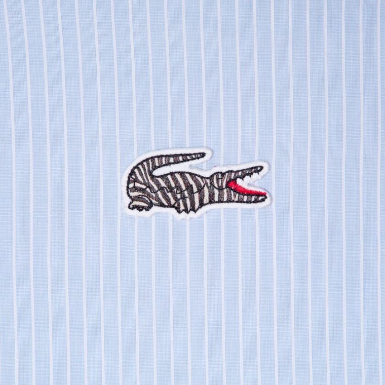 Lacoste x National Geographic Regular Fit Striped Bavlněné Shirt Blankyt Bílé | 45QOE5lm