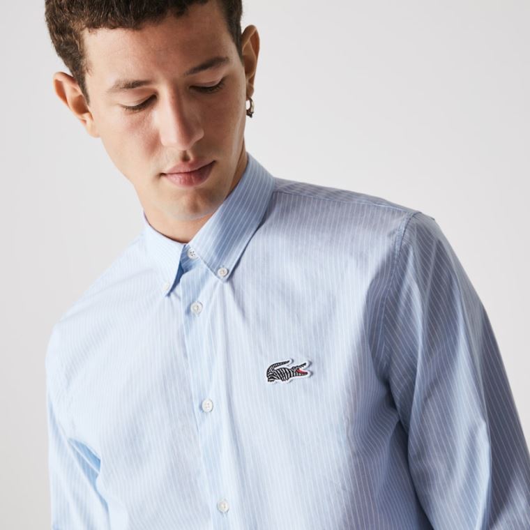 Lacoste x National Geographic Regular Fit Striped Bavlněné Shirt Blankyt Bílé | 45QOE5lm