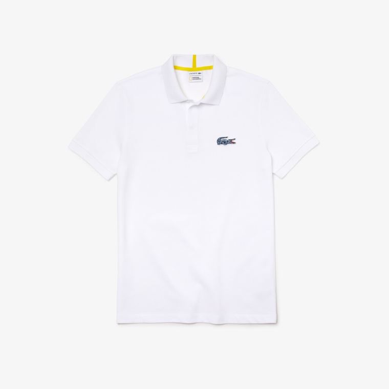 Lacoste x National Geographic Regular Fit Organic Bavlněné Polo Shirt Bílé | f2BfQVgK