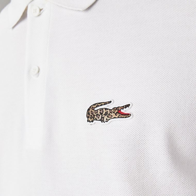 Lacoste x National Geographic Regular Fit Organic Bavlněné Polo Shirt Bílé | gx04vllX