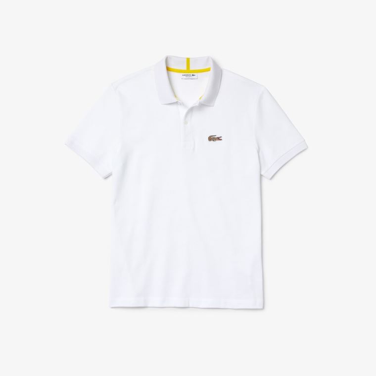 Lacoste x National Geographic Regular Fit Organic Bavlněné Polo Shirt Bílé | gx04vllX