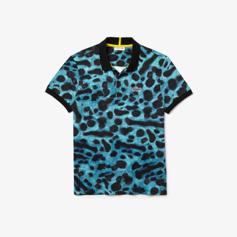 Lacoste x National Geographic Regular Fit Print Bavlněné Polo Shirt Zelene Bílé | tM3WkX9X