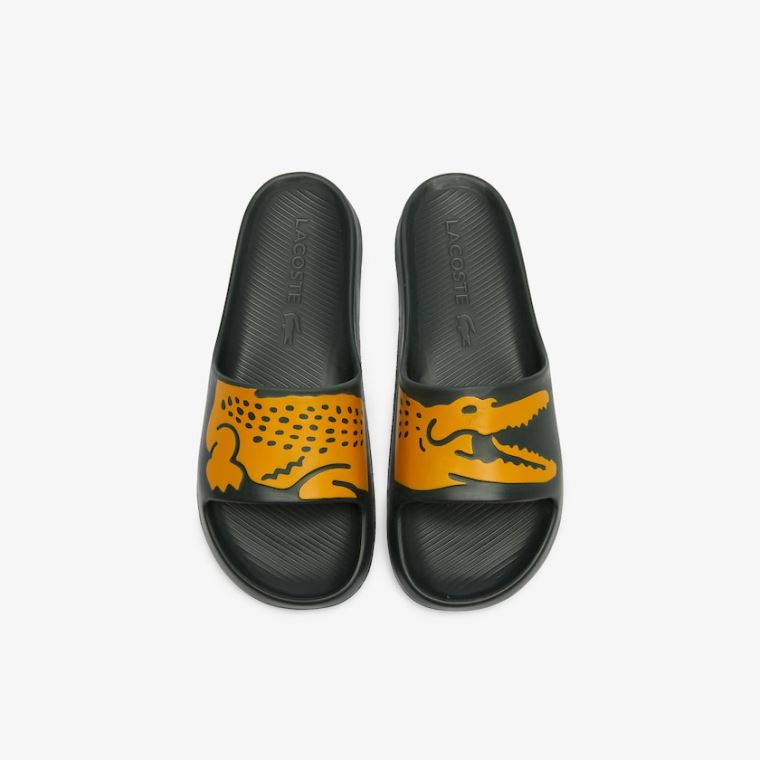 Lacoste x Ricky Regal Syntetická Crocodile Slides Tmavě Zelene Žluté | VFDDBWmP