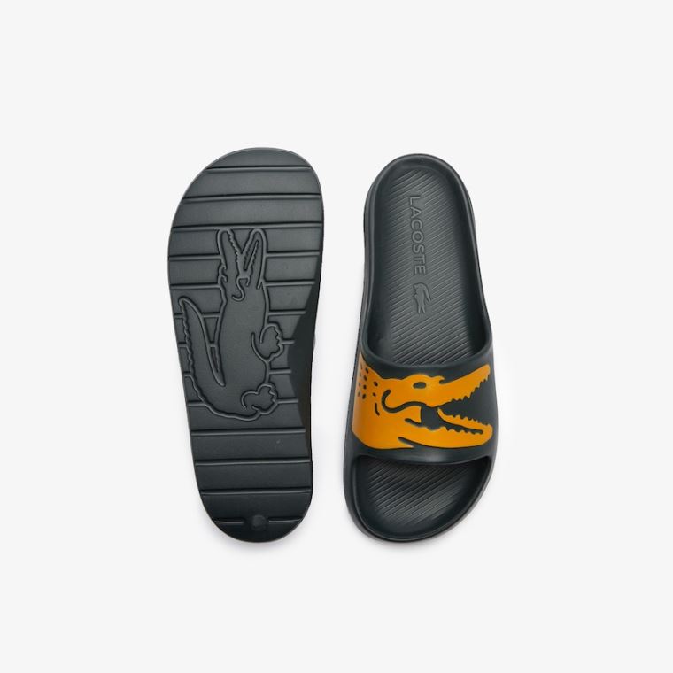 Lacoste x Ricky Regal Syntetická Crocodile Slides Tmavě Zelene Žluté | VFDDBWmP